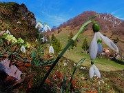 Monte Zucco ad anello fiorito da S. Antonio ABB. via Sonzogno-12 marzo 2026-FOTOGALLERY